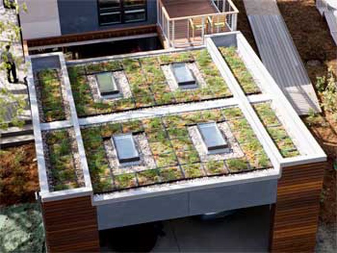 The Smart Home's green roof