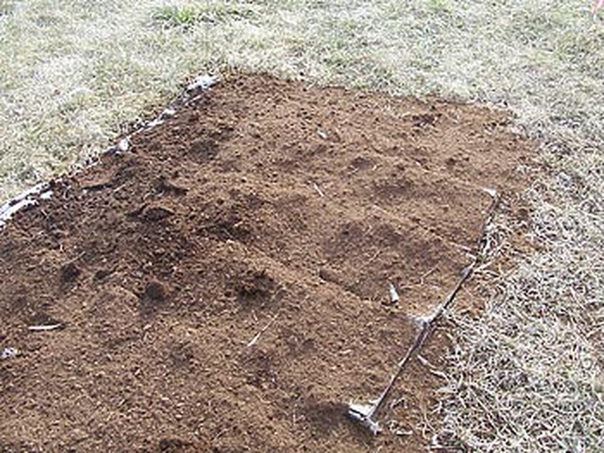 Layer of peat moss