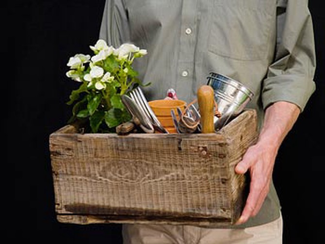 Box of gardening supplies