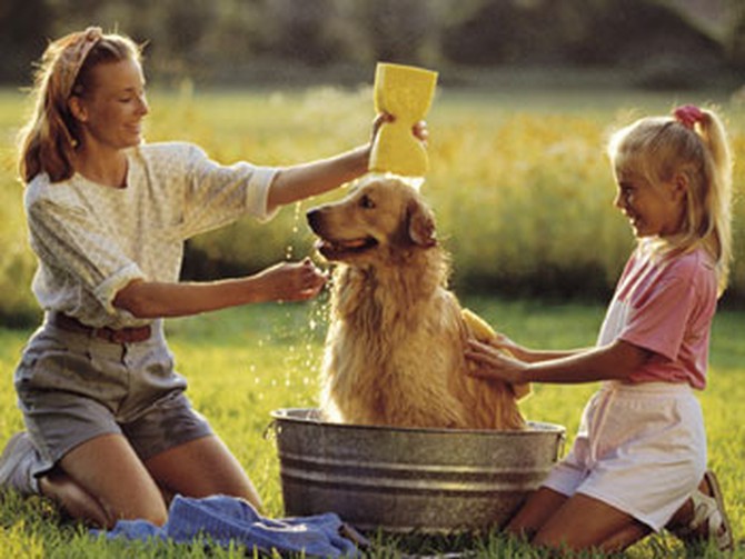 Woman and child bathing their dog