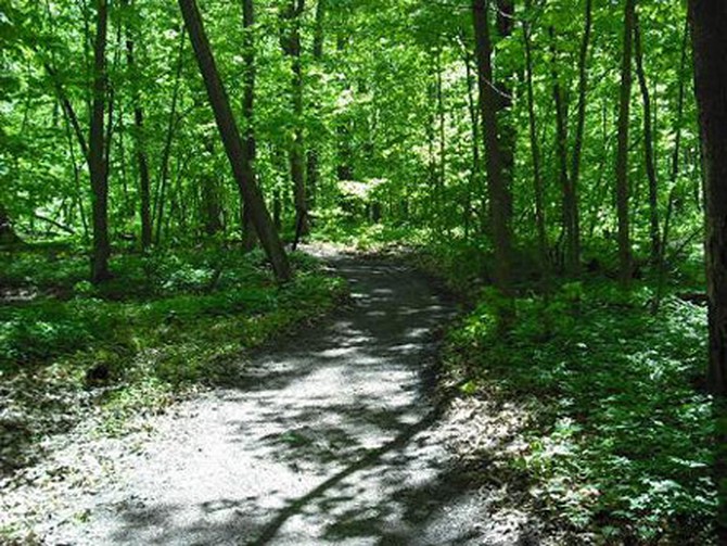 Walking path in the woods of Chateauguay, Quebec