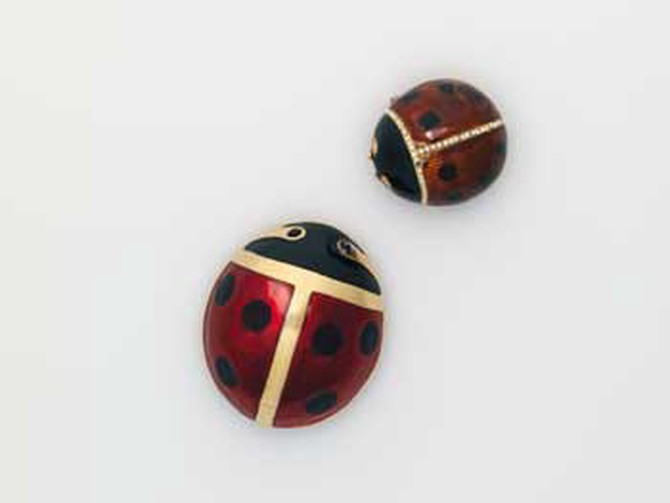 Madeleine Albright's ladybug pin