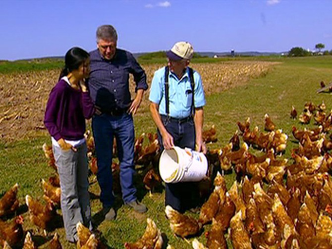 Lisa Ling visits a cage-free egg farm.