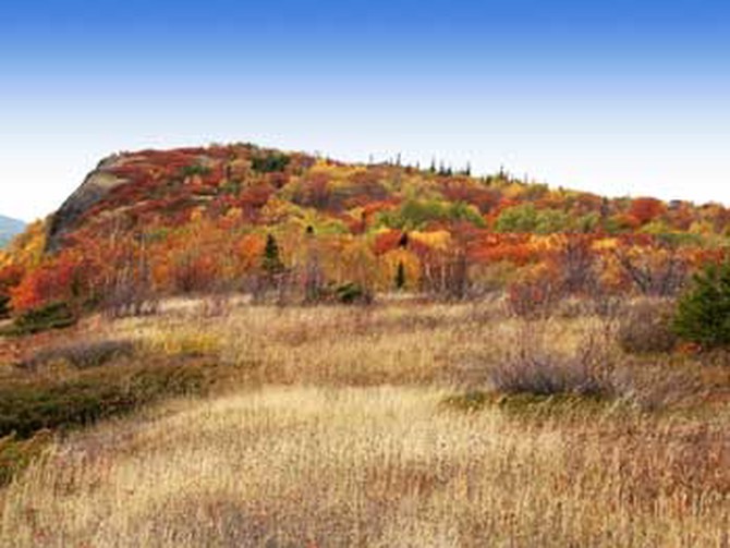 Fall foliage at Brockway Mountain
