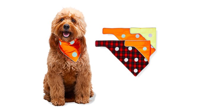 Spot the Dog The Flip and Puppy Plaid Reversible Bandanas