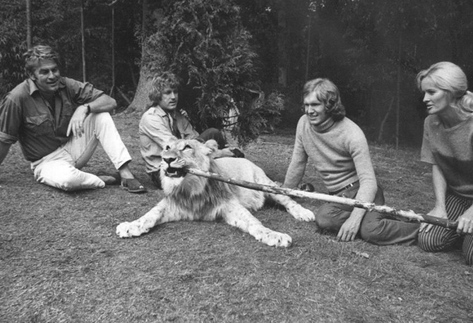 Christian the Lion with Bill Travers, John Rendall, Ace Berg, and Virginia McKenna in Surrey