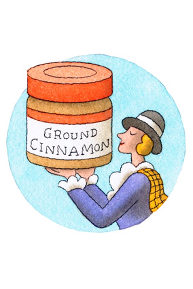 Cinnamon illustration