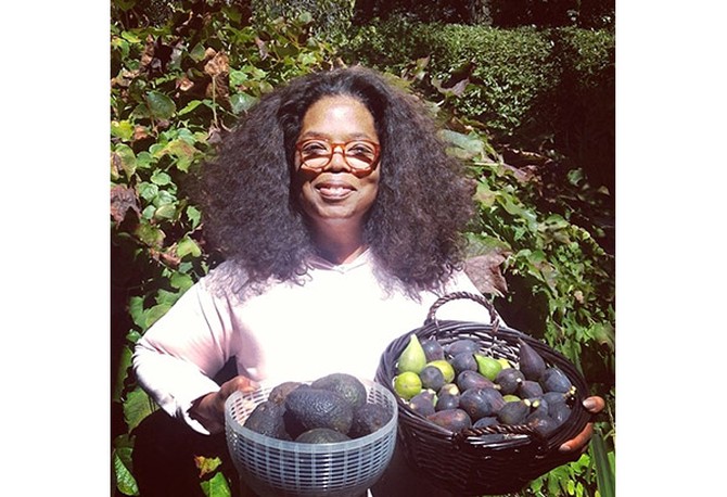 oprah gardening