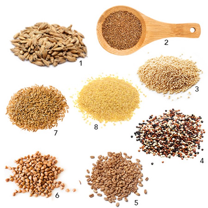 grains for protein
