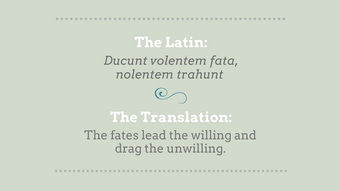 phrases in latin that should make a comeback