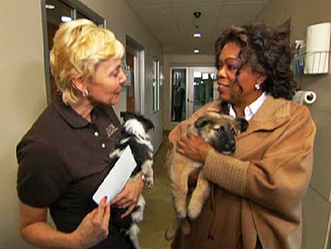 Oprah visits PAWS Chicago.