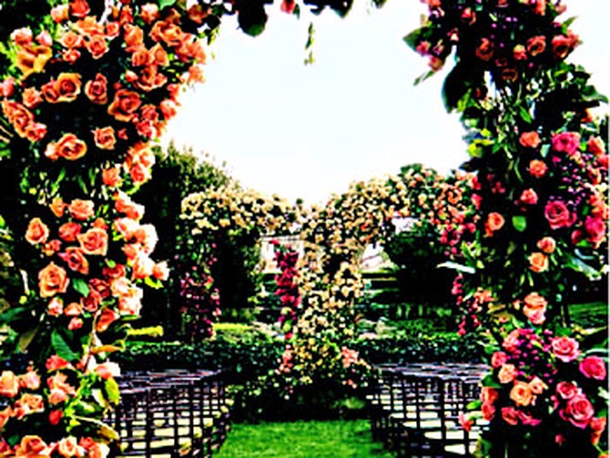 Rose-covered arches at Bob Greene's wedding
