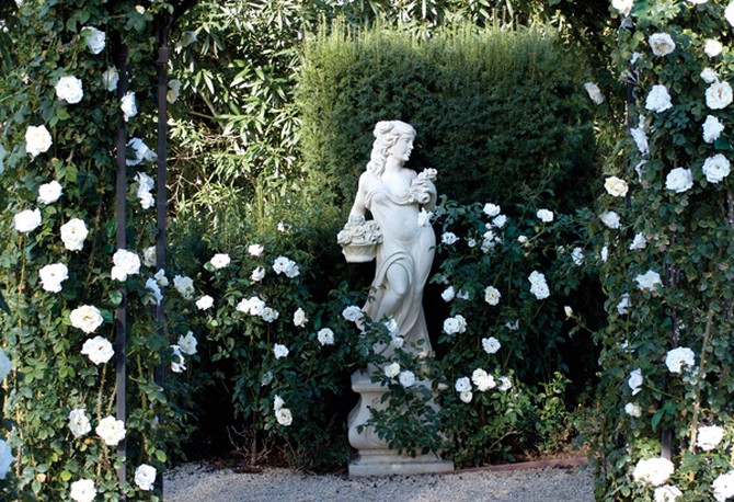 White-pink Sombreuil roses and pure-white Iceberg roses surround the statue.