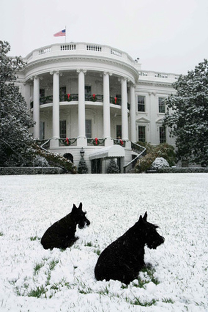 Barney and Mrs. Beazly outside the South Portico of the White House.
