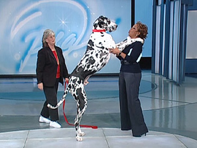 Oprah meets Gibson, the world largest dog.