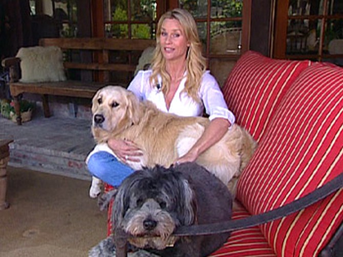 Nicollette Sheridan and her dogs, Oliver and Little Fatty Princess
