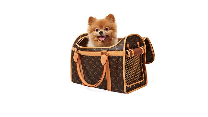 lv bag for dogs