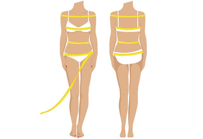 What is the meaning of bust-to-waist ratio? - Question about