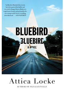 bluebird, bluebird