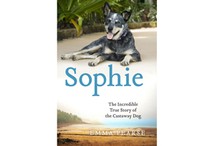 Sophie: The Incredible True Story of the Castaway Dog