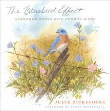 The Bluebird Effect: Uncommon Bonds With Common Birds by Julie Zickefoose
