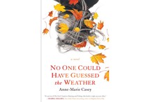 No One Could Have Guessed the Weather by Anne-Marie Casey