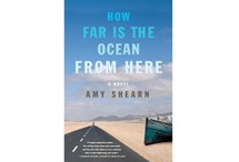 How Far is the Ocean from Here by Amy Shearn