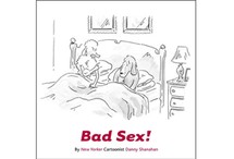 Bad Sex! by Danny Shanahan