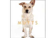 Mutts by Sharon Montrose