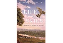 The Life of the Skies by Jonathan Rosen