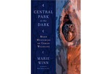 Central Park in the Dark by Marie Winn