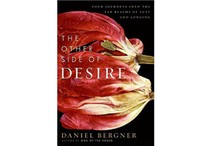 The Other Side of Desire by Daniel Bergner
