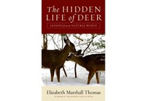 The Hidden Life of Deer: Lessons from the Natural World by Elizabeth Marshall Thomas