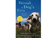 Through a Dog's Eyes by Jennifer Arnold