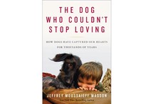 The Dog Who Couldn't Stop Loving by Jeffrey Moussaieff Masson