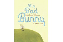 Big Bad Bunny by Franny Billingsley