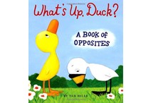 What's Up, Duck?: A Book of Opposites by  Tad Hills