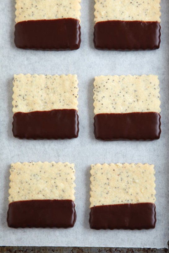 Poppy Seed Squares with Chocolate Tips
