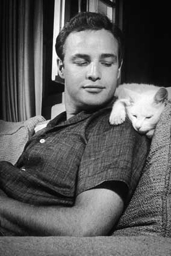 Marlon Brando with a cat