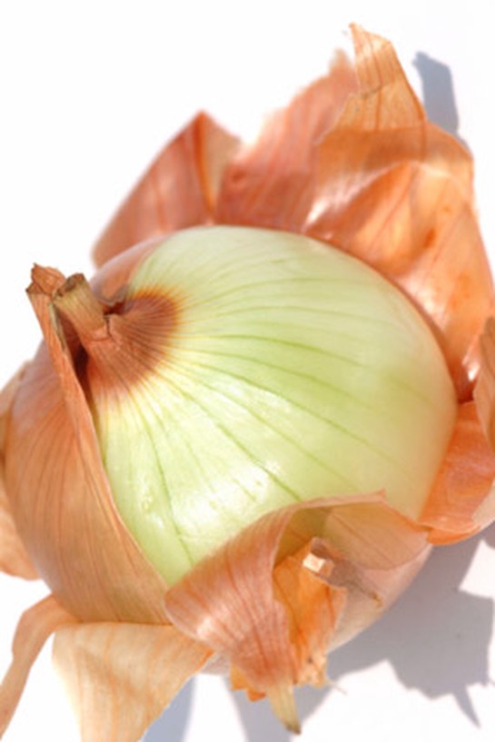 onion skins