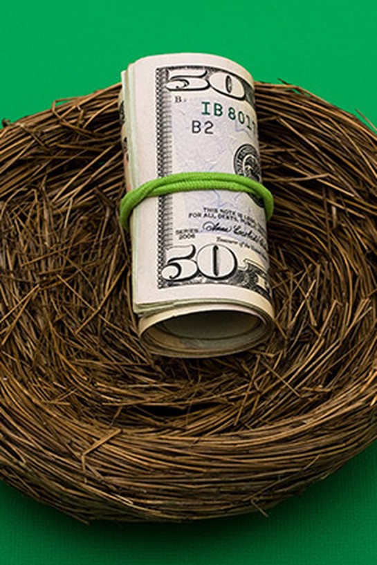Roll of $50 bills in bird's nest