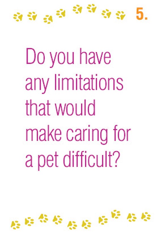 Do you have any limitations that would make caring for a pet difficult?