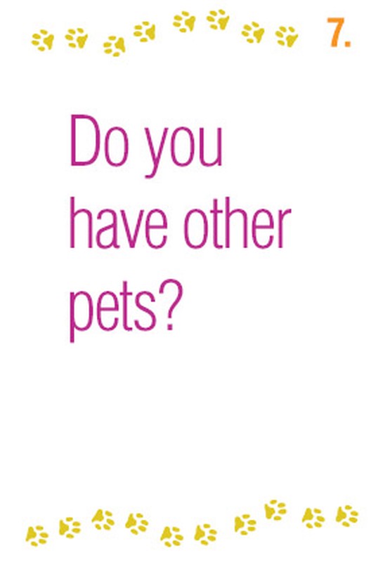 Do you have other pets?