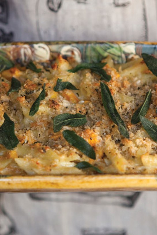 Penne Pasta Quattro Formaggi with Butternut Squash and Sage
