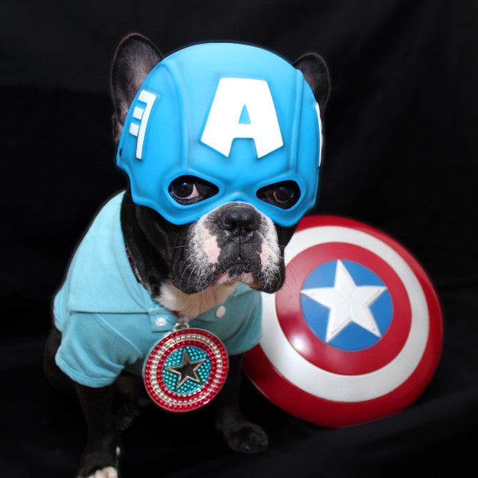 Hero pets. Собаки Супергерои. Собака в костюме супергероя. Костюмы Супергерои для собак. Пес Супергерой.