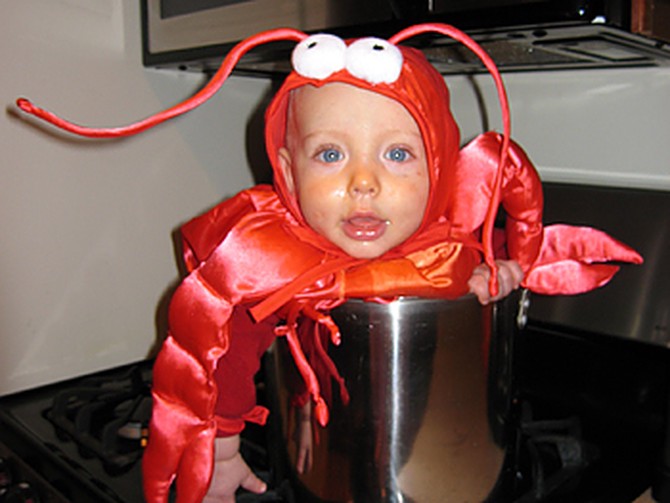Britt's son dressed as a lobster.