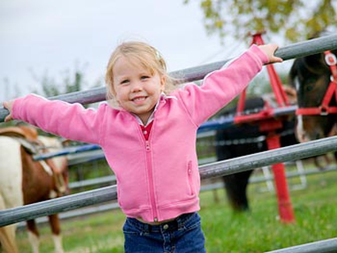 Plan a family trip to a farm or orchard.