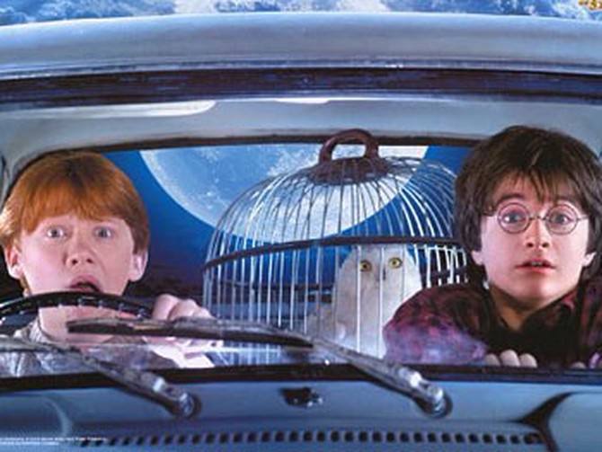 Hedwig with Harry Potter and Ron Weasley