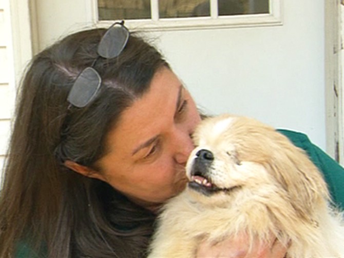 Susan Marino of Angel's Gate, with rescued dogs