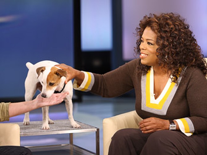 Maggie, the counting dog, and Oprah
